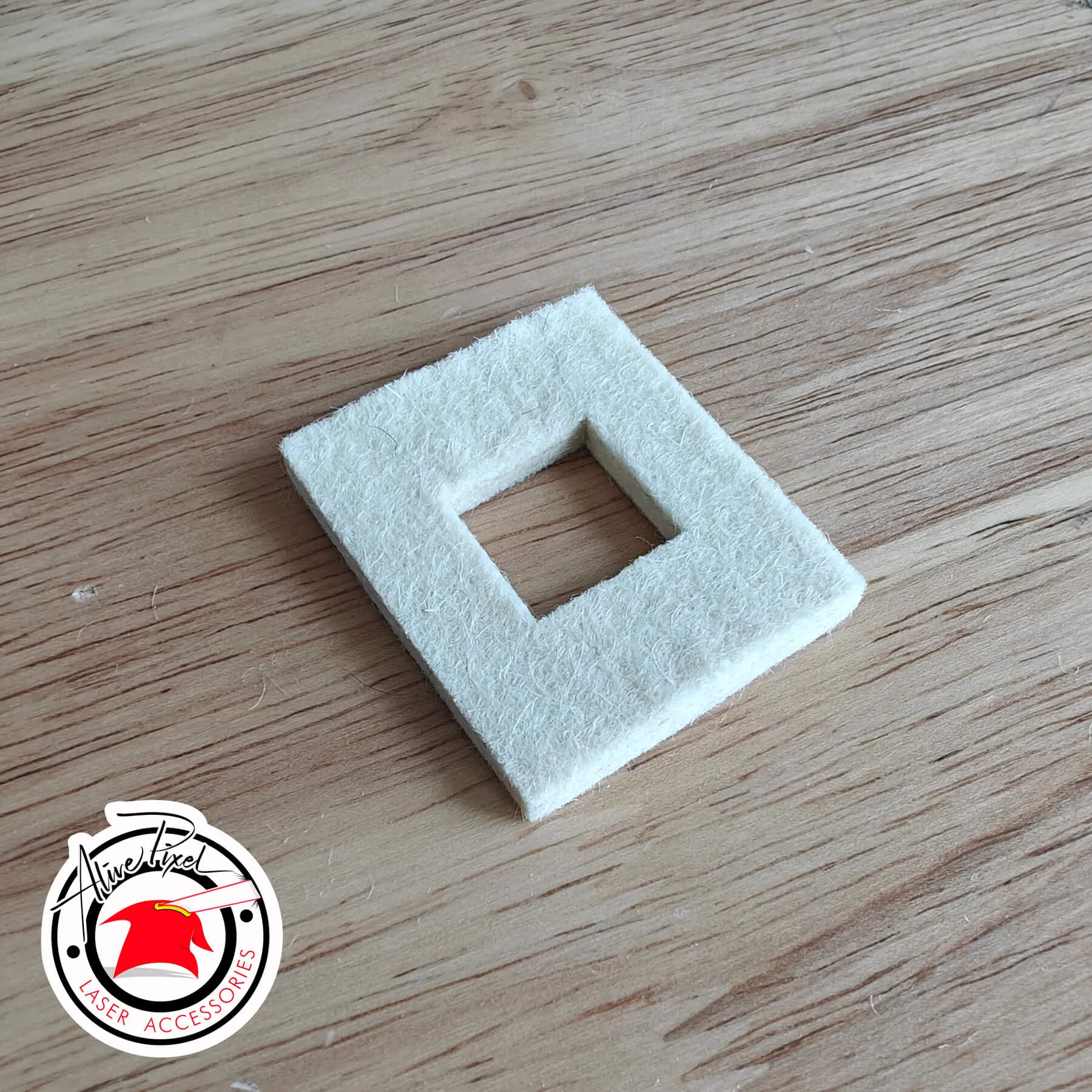 Air Assist Filter Replacement